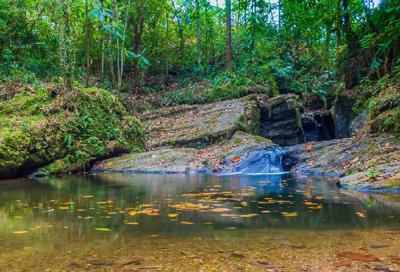 Hike to scenic Caura Valley this weekend | Local News | trinidadexpress.com