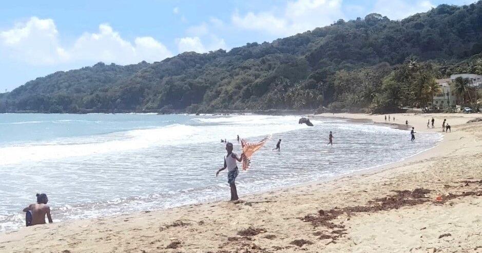 In dread of ‘chainsaw’ kites