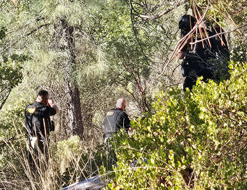 Man arrested after firing pellet gun at officers | Crime And Punishment ...