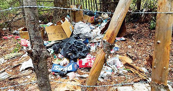 ‘Little death bombs’: Illegal cannabis farms poison California’s forests; who’s cleaning them up?