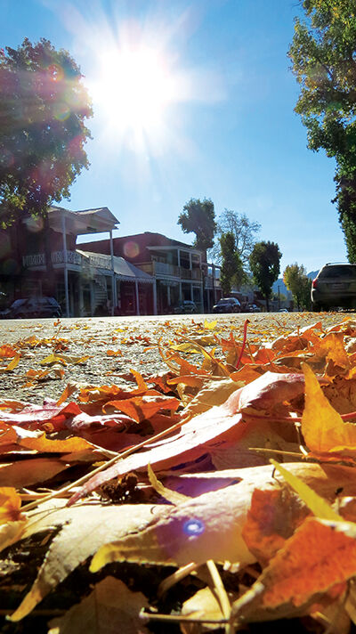 Downtown Weaverville