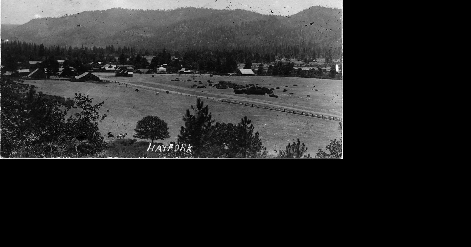 The News Back Then Columnists