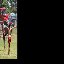 Firewise Fair sparks interest | Local News | trinityjournal.com