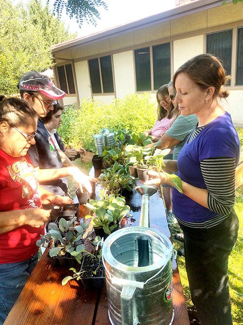 Trinity County Digs In At Two Locations For Free Gardening Classes Garden Trinityjournal Com
