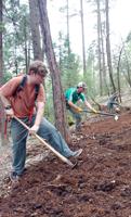 On the Trail:  Weaver workday