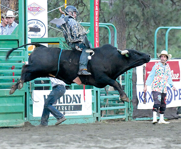 Wild rides at annual rodeo | Sports | trinityjournal.com