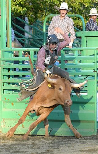 Bull riding championship raises $7,000 for scholarship | Sports ...