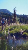 On the Trail: Union and Landers lakes