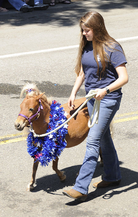 Parade 12
