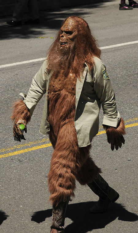Parade 14
