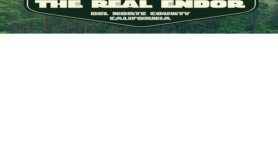 First Friday returns June 2 in downtown Crescent City Community