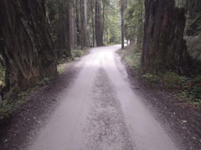 Howland Hill traffic pilot program postponed News