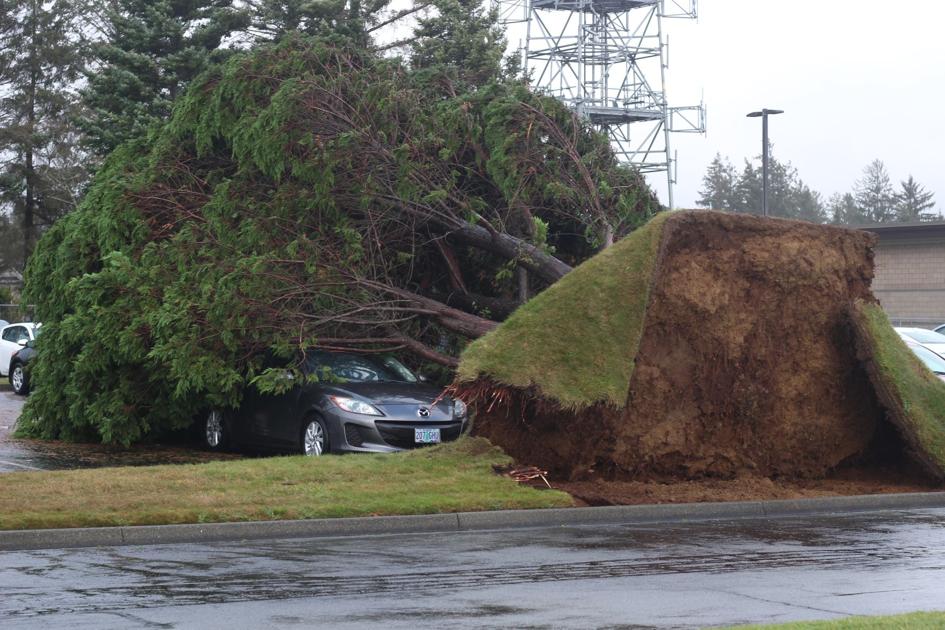 Photo Story Winds cause havoc through Crescent City News