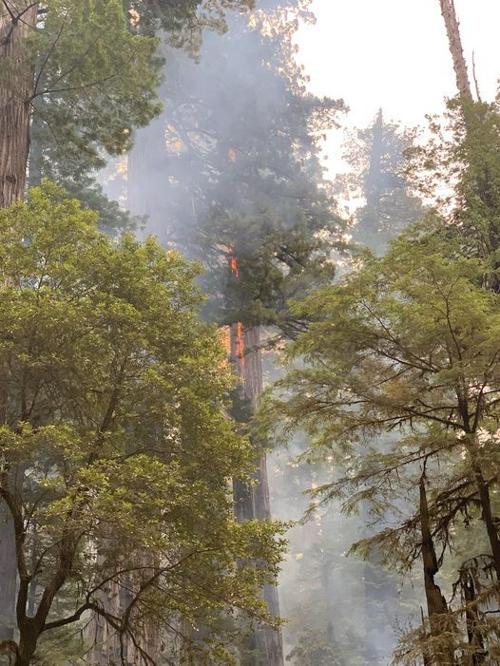 Howland Hill Fire