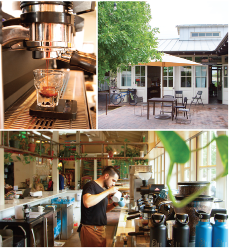 tucson coffee roasters swan
