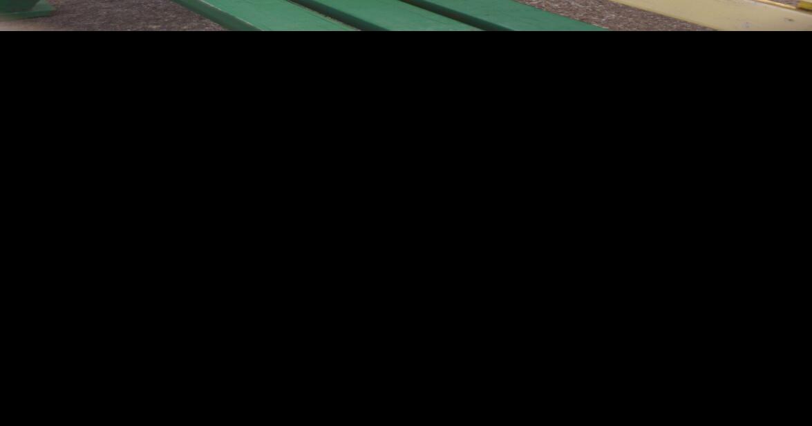 Annual Bell Buckle Daffodil Day set for March 18 Local News