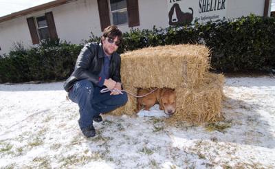 Straw huts keep shelter dogs warm, Local News