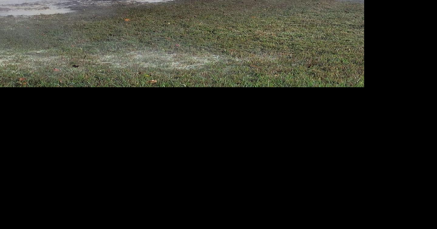 One injured in Riley Creek Road crash Local News