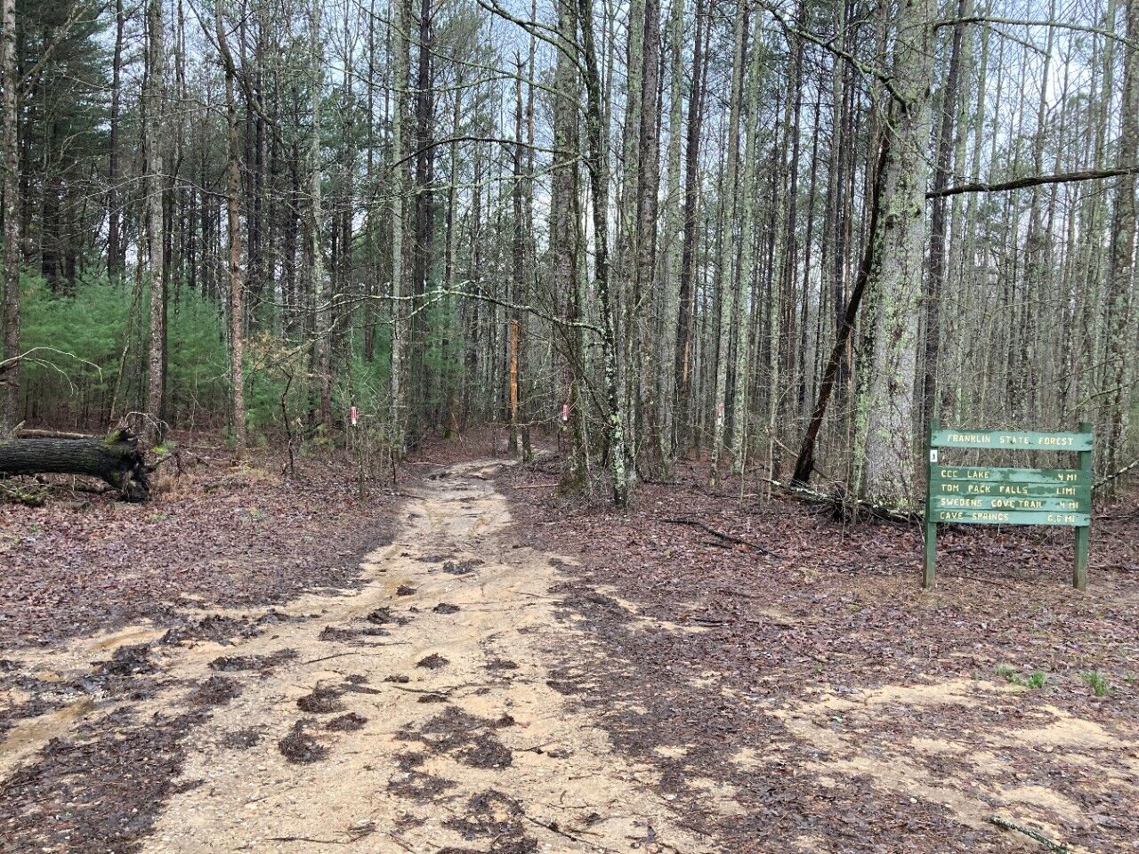 Temporary restrictions to take effect at Franklin State Forest Local News tullahomanews