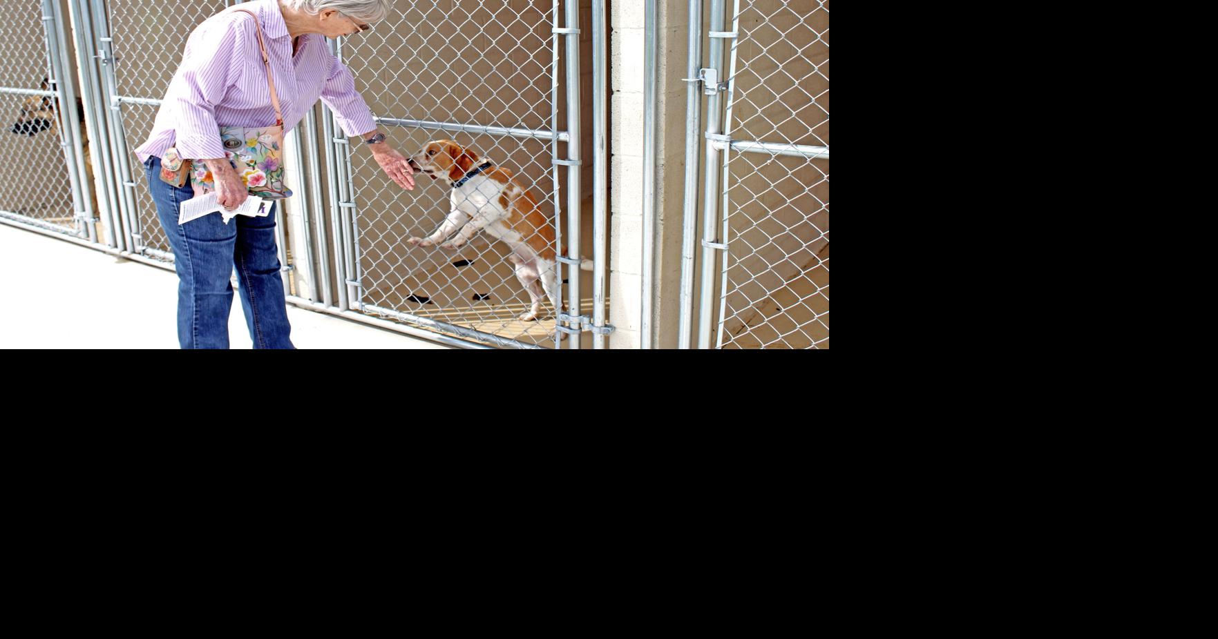 City raises pet adoption fee | Local News 