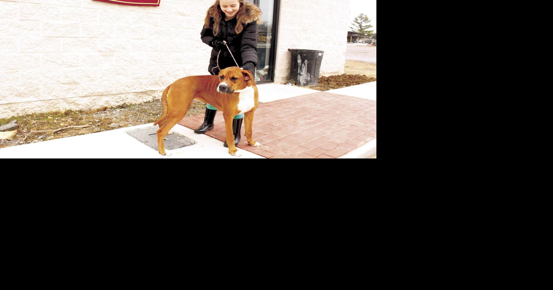 Town fetches larger selling price for pet adoption | Local News