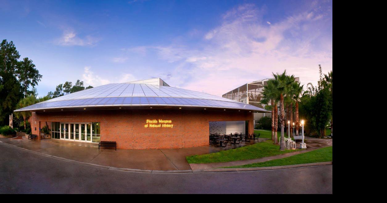 Florida Museum of Natural History celebrates 100 years ...