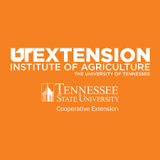 UT extension logo