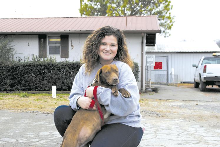 Resolve to volunteer at the Tullahoma Animal Shelter | Living |  