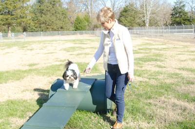 City S Pet Village Dog Park Now Open Local News Tullahomanews Com