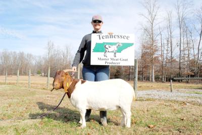 Ut Extension Agriculture Classes Offer A Wealth Of Knowledge
