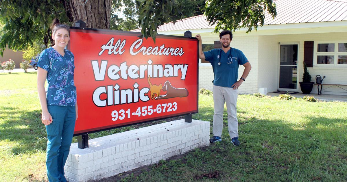All Creatures vet clinic opens Tullahoma branch | Business & Finance |  