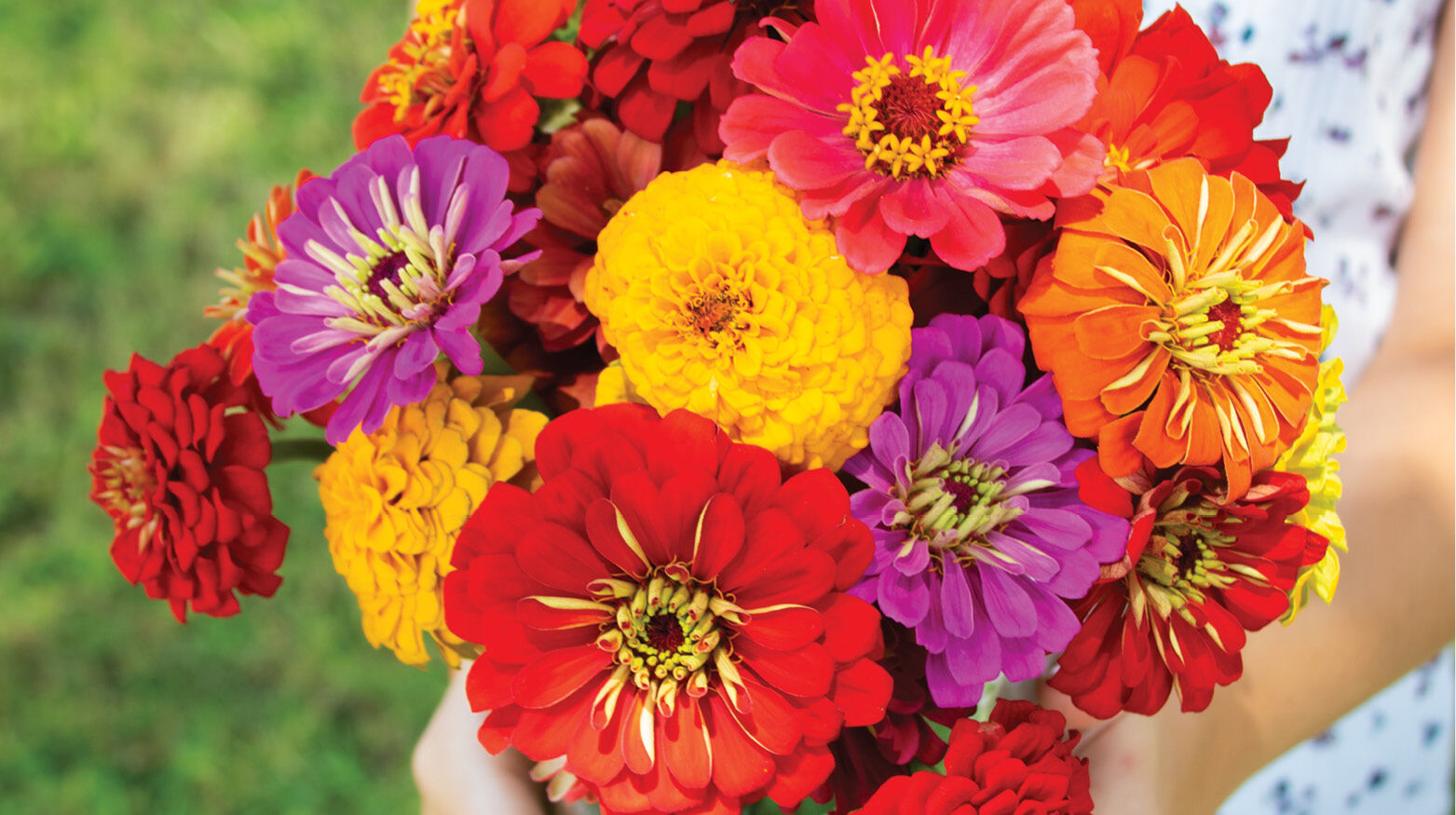 Pick your own flowers at Joe's Farm | June-2021 | tulsapeople.com