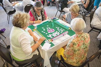 Dog mahjong free games