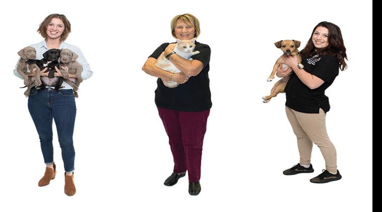 Helping Homeless Pets January 2020 Tulsapeople Com