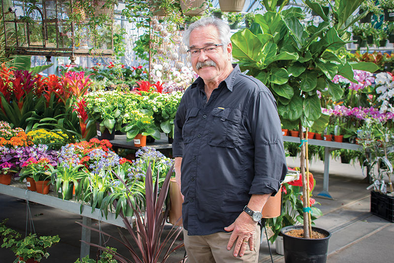 Southwood Has Delighted Gardeners For, Southwood Garden Center Tulsa