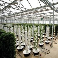 Scissortail Farms' Aeroponic Greenhouse Supplies Tulsa with Fresh Greens  Year-Round