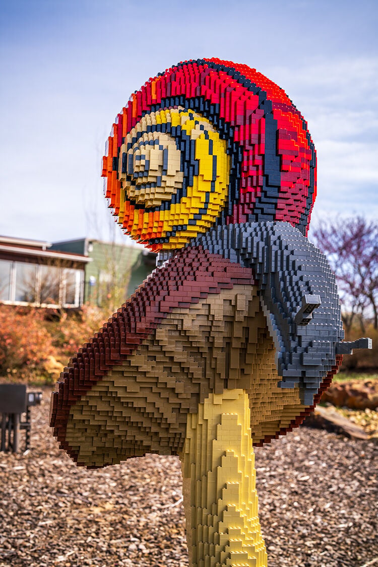 It's all connected: Unique exhibition at Tulsa Botanic Garden