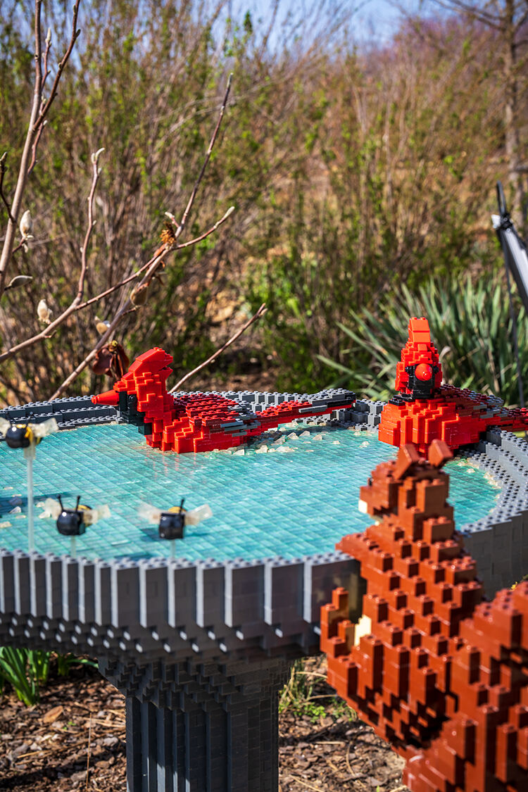 It's all connected: Unique exhibition at Tulsa Botanic Garden