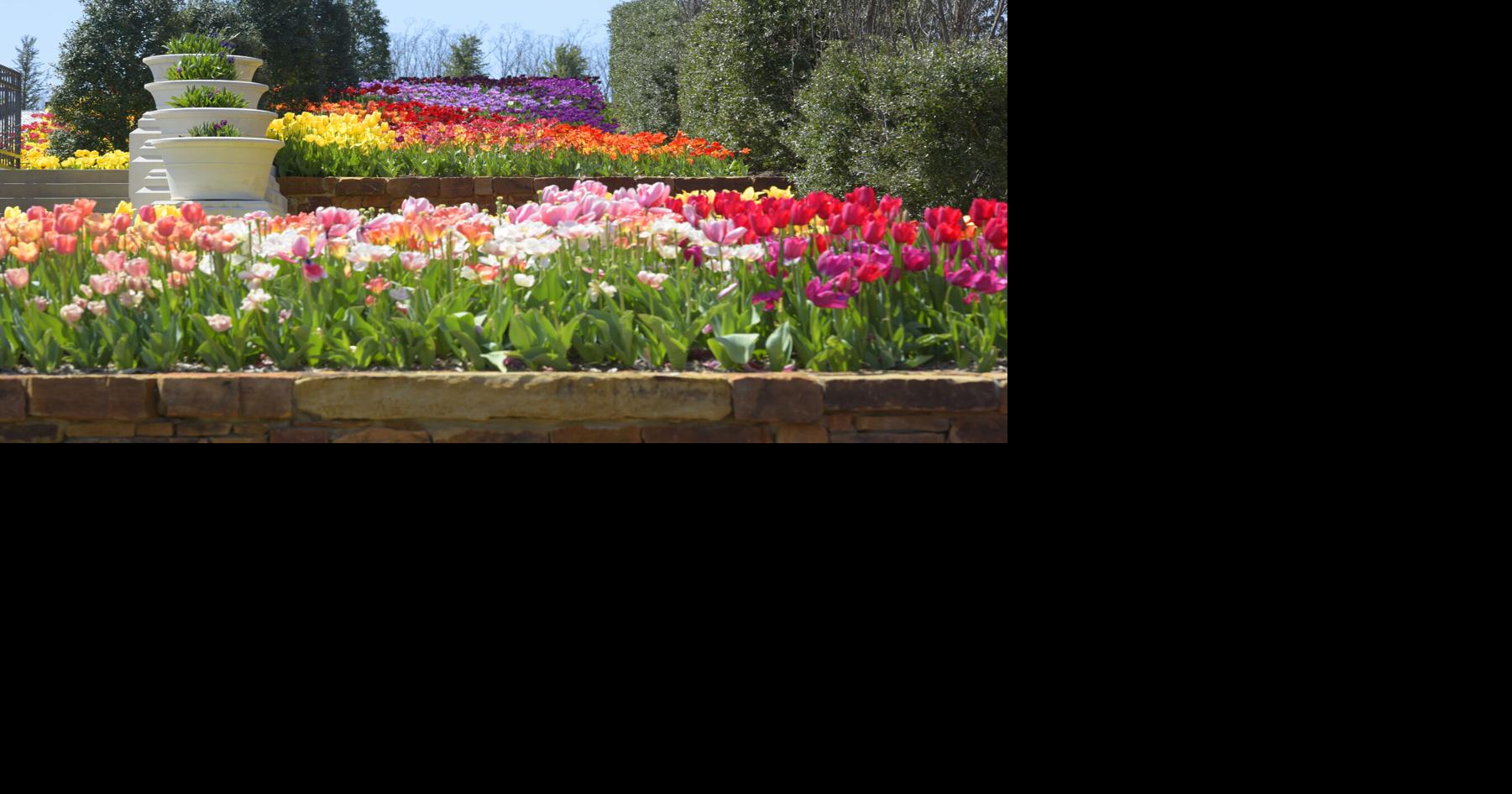 Bright colors, fragrant blossoms and sunset strolls: Botanic Garden ...