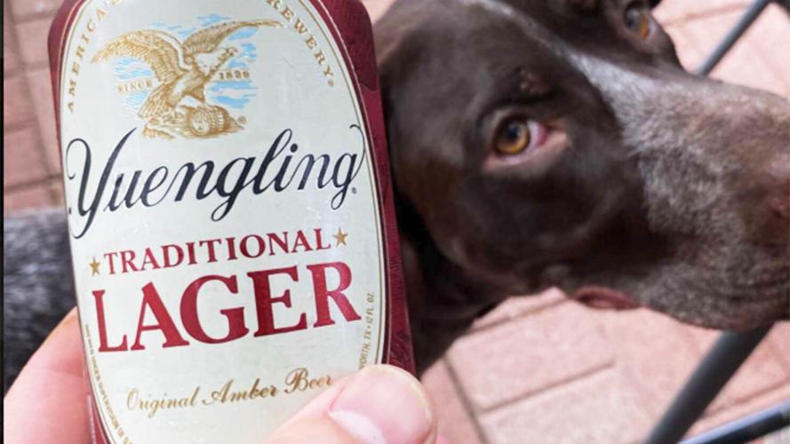 What the Ale: Yuengling beers are headed to Oklahoma