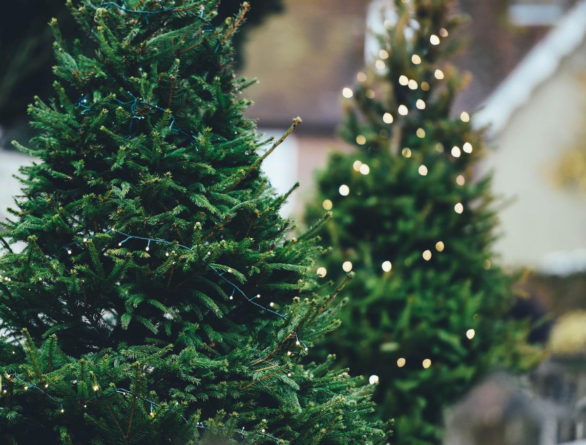 New Midtown Christmas Tree Lot At Cascia November 2019 Tulsapeople Com