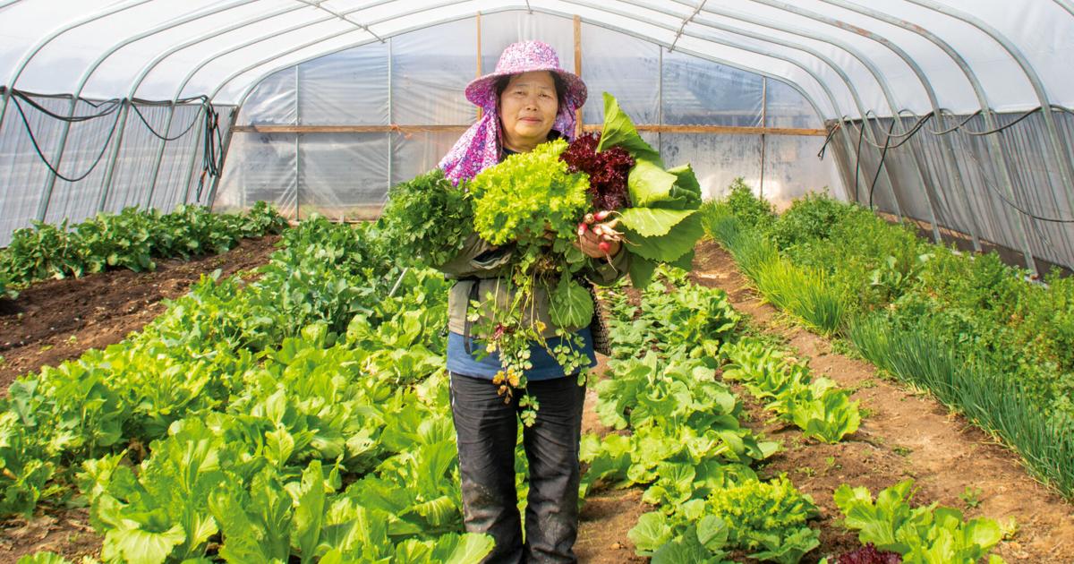 Fruits of their labor: Meet the Hmong growers cultivating life, land, community and culture in Tulsa