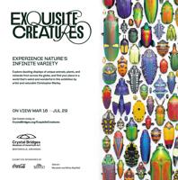 CB - Exquisite Creatures HP Sunday May 5th