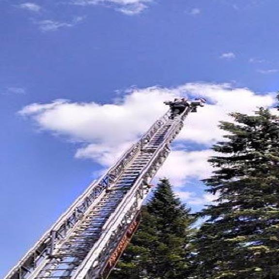 Maine Woman Gets Stuck In Tree Trying To Rescue Cat Tulsaworld Com