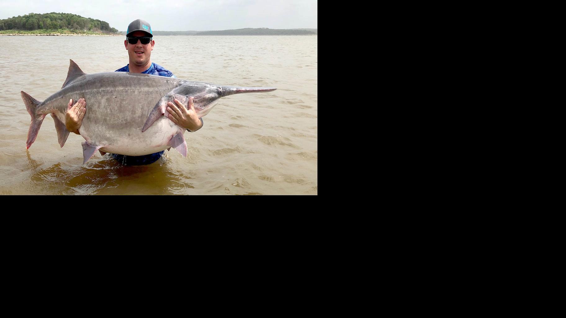 Man catches new worldrecord paddlefish, 146 pounds, 11 ounces at