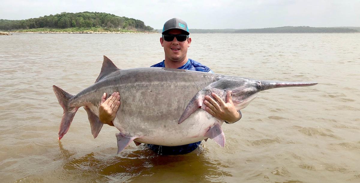 Man Catches New World Record Paddlefish 146 Pounds 11 Ounces At