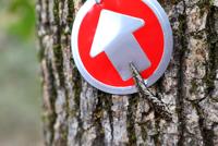 Beavers Bend State Park