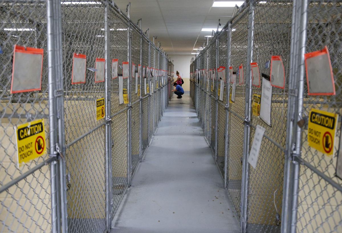 Tulsa animal shelter expands adoption service, adds weekend hours for