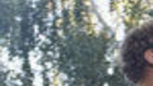 Step Brothers Archive Tulsaworld Com Listen to music from step brothers like more wins, see the rich man play (feat. step brothers archive tulsaworld com