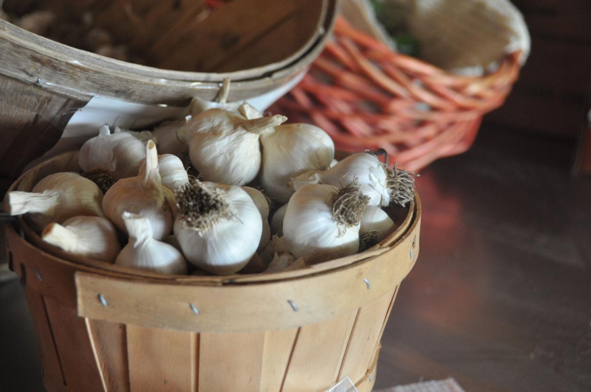 Planting garlic takes some planning ahead